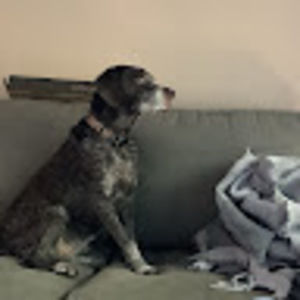 Meet your Posher, Js